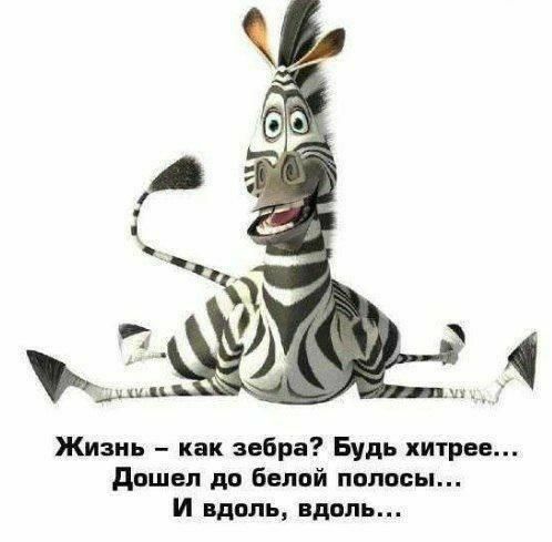 Жизнь как зебра Будь хитрее дошел до белий полосы И вдоль вдоль