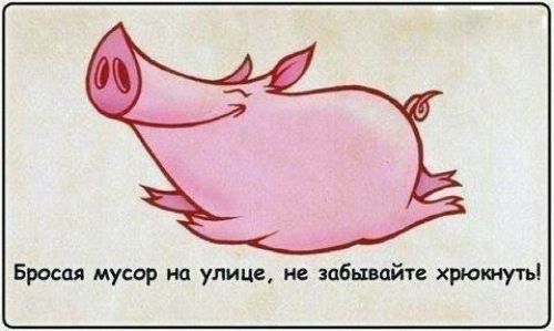 Бросая мусор на улице не забывайте хрюшуты