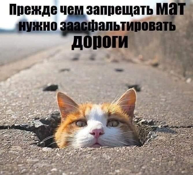 нпвжде чшзаппещать м Шіино апьтивовадк і