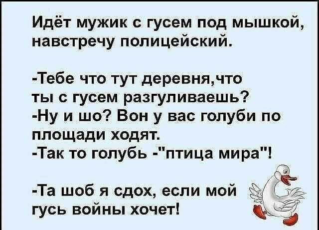 Идёт мужик с гусем под мышкой навстречу полицейский Тебе что тут деревня по ты с гусем разгуливаешь Ну и шо Вон у вас голуби по площади ходят Так то голубь птица мира Та шоб я сдох если мои Ы гусь войны хочет