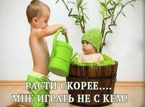 РА ЬНЕСКЕМ