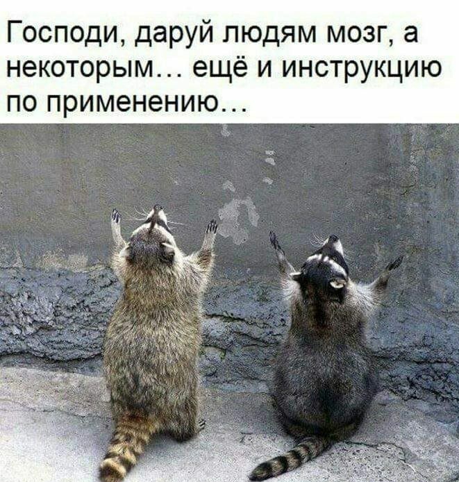 Господи даруй людям мозг а некоторым ещё и инструкцию по применению