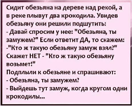 Сидит обезьяна на дереве над рекой а в реке плывут два крокодила Увидев обезьяну они решили подшутить Давай спросим у нее Обезьяна ты замужем Если ответит ДА то скажем Кто ж такую обезьяну замуж взял Скажет НЕТ Кто ж такую обезьяну возьмет Подплыли к обезьяне и спрашивают Обезьяна ты замужем Выйдешь тут замуж когда кругом одни крокодилы