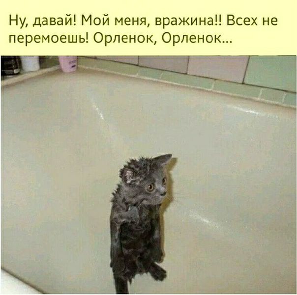 Ну давай Мой меня вражина Всех не перемоешь Орленок Орленок 7