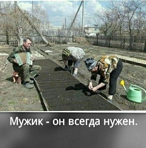 Мужик он всегда нуже