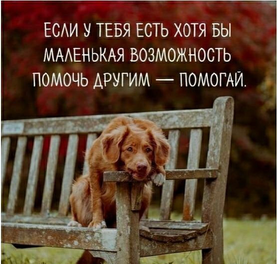 ЕСАИ У ТЕБЯ ЕСТЬ ХОТЯ БЫ МААЕНЬКАЯ ВОЗМОЖНОСТЬ ПОМОЧЬ ДРУГИМ ПОМОГАЙ