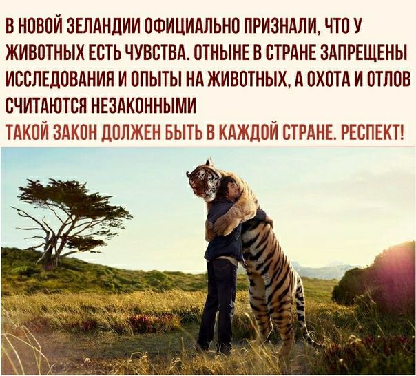 В НОВОЙ ЗЕЛАНДИИ ОФИЦИАЛЬНО ПРИЗНАЛИ ЧТО У ЖИВОТНЫХ ЕСТЬ ЧУВСТВА ОТНЫНЕВ СТРАНЕ ЗАПРЕЩЕНЫ ИССЛЕДОВАНИЯ И ОПЫТЫ Нд ЖИВОТНЫХ А ОХОТА И ОТЛОВ ВЧИТАЮТОН НЕЗАКОННЫМИ ТАКОЙ ЗАКОН ДОЛЖЕН БЫТЬ В КАЖДОЙ ОТРДНЕ РЕСПЕКТ