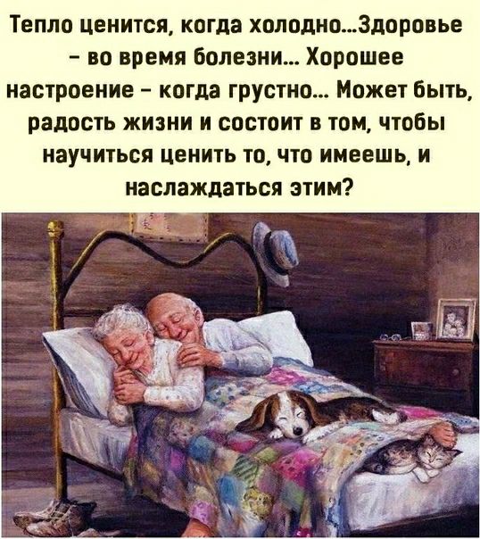 Тепло ценится когда холодно3доровье во время Болезни Хорошее настроение когда грустно Может быть радость жизни и состоит в том чтобы научиться ценить то что имеешь и наслаждаться этим