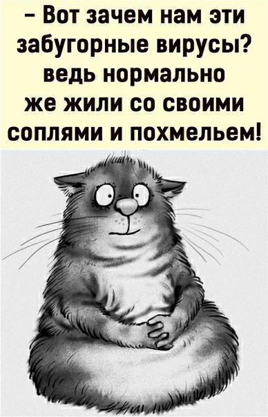 Вот зачем нам эти забугорные вирусы ведь нормально же жили со своими соплями и похмельем