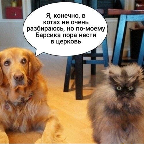 я конечно в КОТЭХ не очень разбираюсь но псмоему Барсика пора нести в церковь