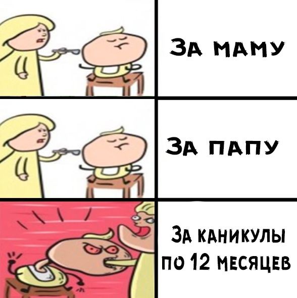 ЗА КАНИКУЛЫ по 12 мвсяцвв