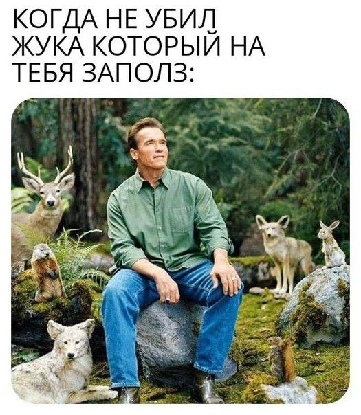 КОГДА НЕ УБИЛ ЖУКА КОТОРЫЙ НА ТЕБЯ ЗАПОЛЗ