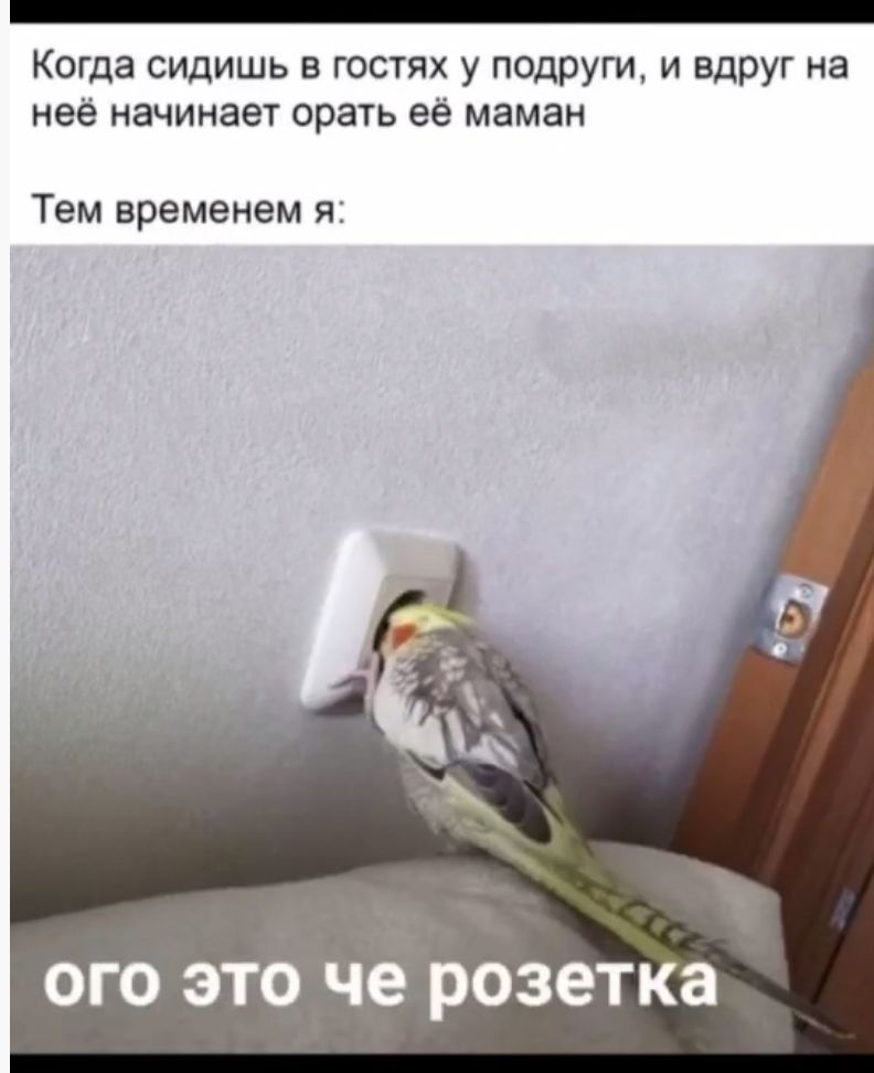 Когда сидишь в гостях у подруги и вдруг на неё начинает орать её маман Тем временем я ого это чё розетка