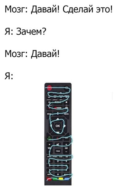 Мозг Давай Сделай это Я Зачем Мозг Давай Я