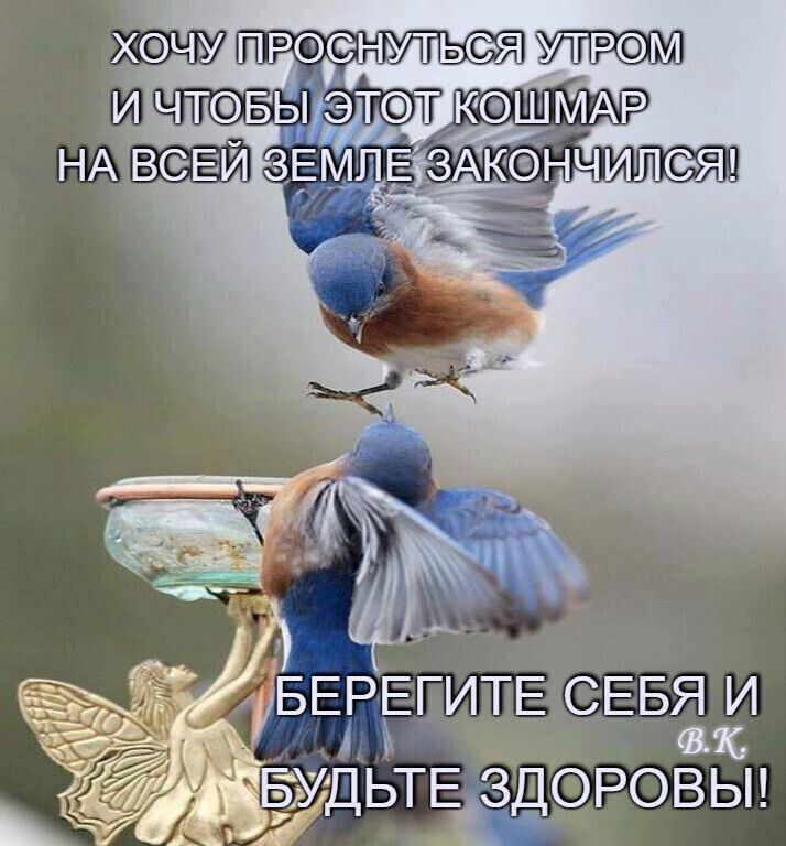 ЦЬТЕЁЁОРОВЫ