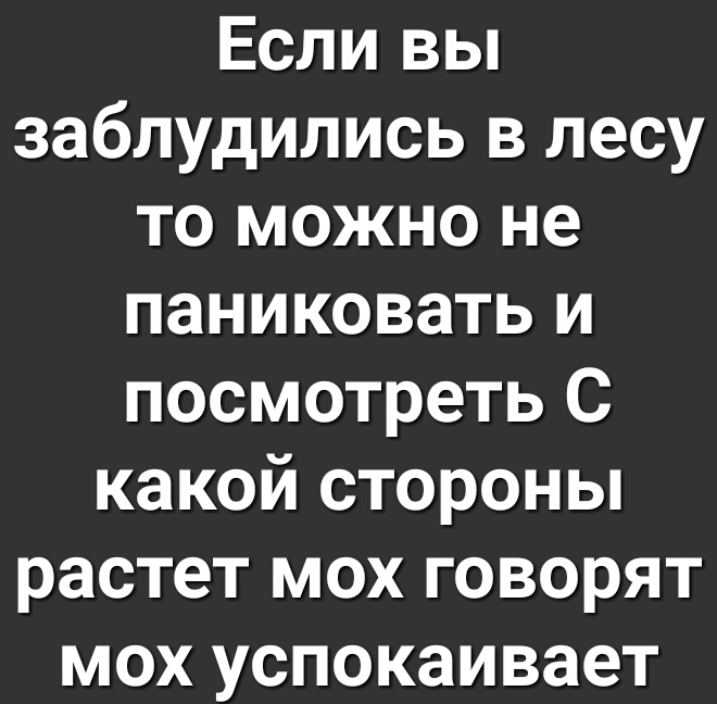 Если вы заблудились в лесу то можно не паниковать и посмотреть С какой стороны растет мох говорят мох успокаивает