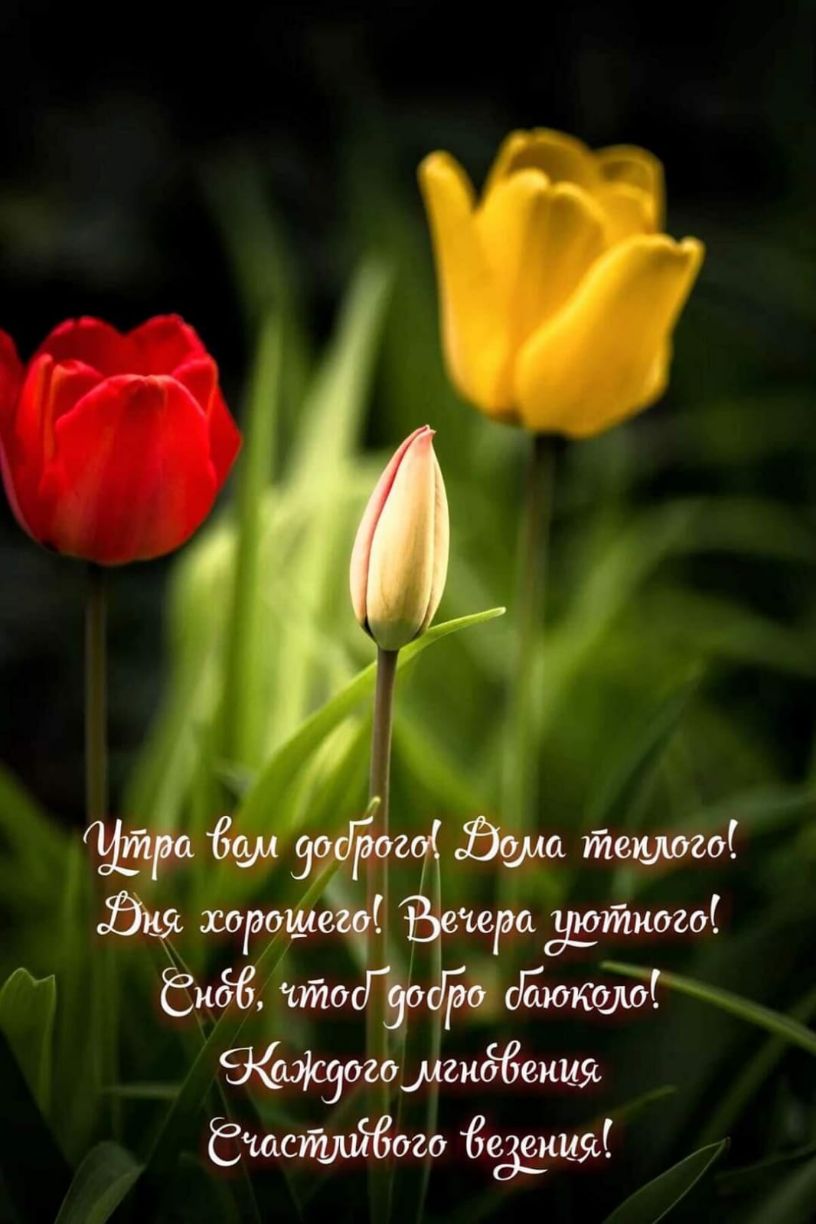 Ёистлйбозо 68390450