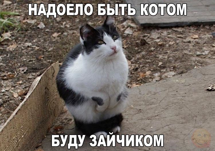 довло _вь И