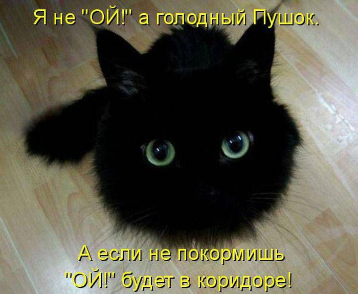 А если не гоюрмишь ОИ будг гг в коридоре