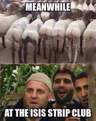 пттныыз зттйсшв