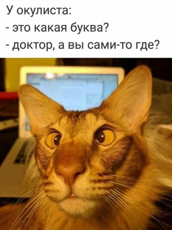 У окулиста это какая буква доктор а вы сами то где