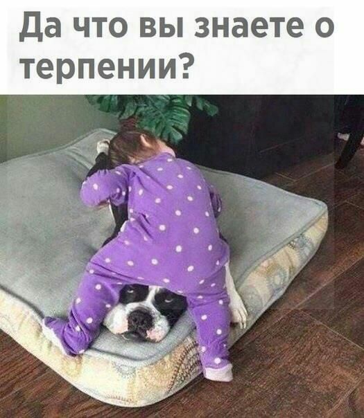 да что вы знаете о терпении