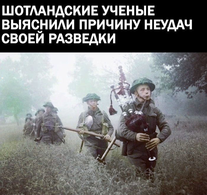 ШОТААНДСКИЕ УЧЕНЫЕ ВЫЯСНИАИ ПРИЧИНУ НЕУДАЧ СВОЕЙ РАЗВЕДКИ