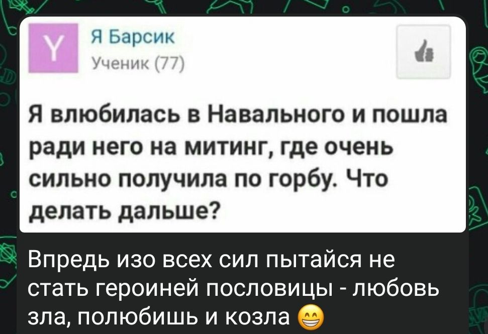 Я Барсик дым Я влюбилась в Навального и пошла ради него на митинг где очень сильно получила по горбу Что делать дальше Впредь изо всех сил пытайся не стать героиней пословицы любовь зла полюбишь и козла