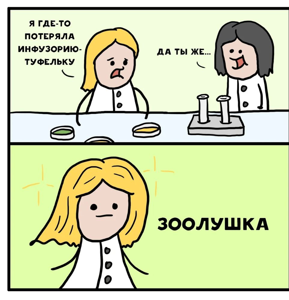 Я ГДЕ ТО ПОТЕРЯЛА ЗООЛУШ КА
