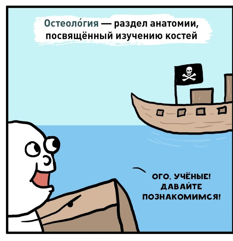 Остеолбгия раздел анатомии посвящённый изучению костей ОГО УЧЕНЫЕ дАВАЙТЕ позндкомимся