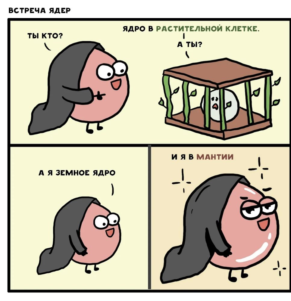 ВСТРЕЧА ЯДЕР ЯДРО В РАСТИТЕЛЬНОЙ КЛЕТКЕ ТЫ КТО