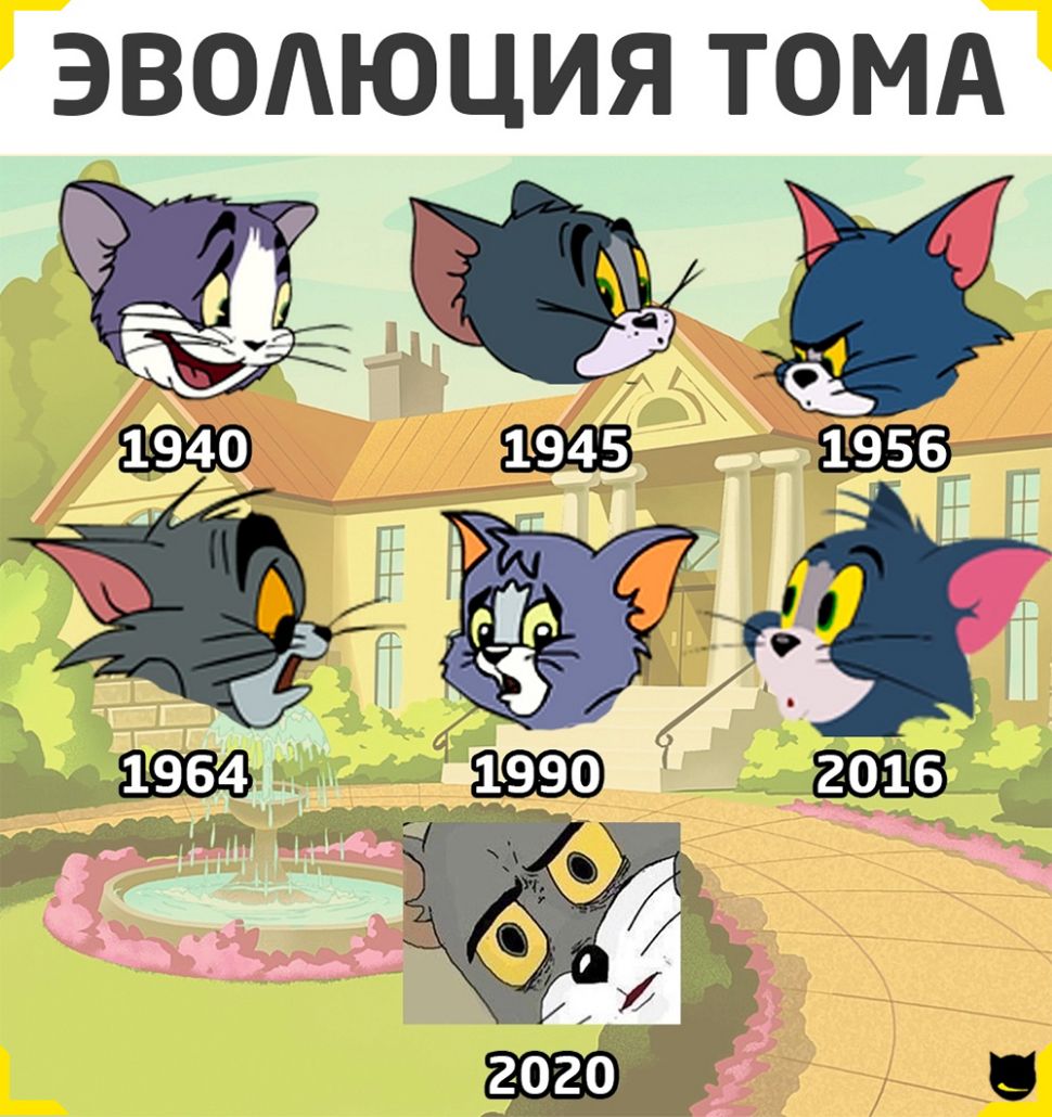 ЭВОАЮЦИЯ ТОМА