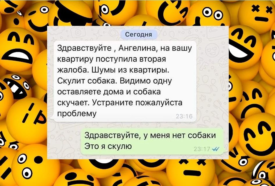 Сегодня Здравствуйте Ангелина на вашу квартиру поступила вторая жалоба Шумы из квартиры Скулит собака Видимо одну оставляете дома и собака скучает Устраните пожалуйста проблему Здравствуйте у меня нет собаки Это я скупю ГУ А
