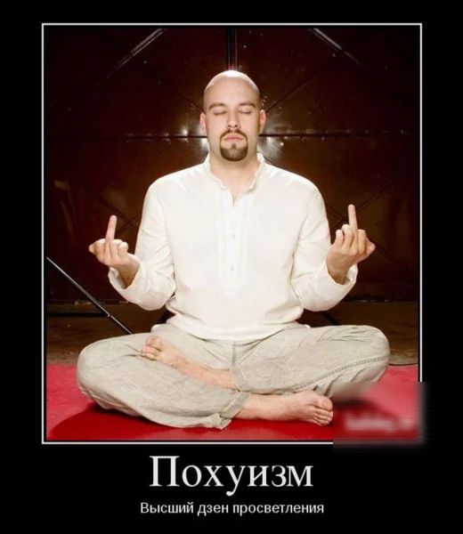 Похуизм Высший дзен просветления