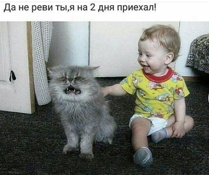 Да не реви тыя на 2 дня приехал