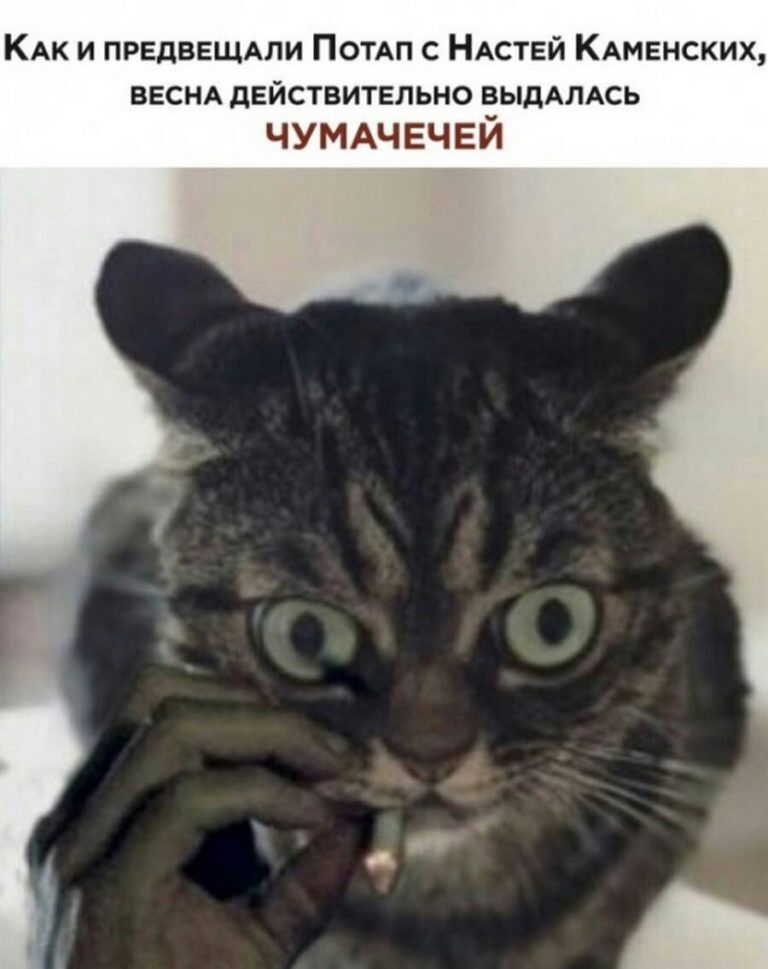 КАк и пргдввщми ПОТАП с НАСТЕЙ КАмвнских ВЕСНА действительно ВЫДАЛАСЬ ЧУМАЧ ЕЧЕИ