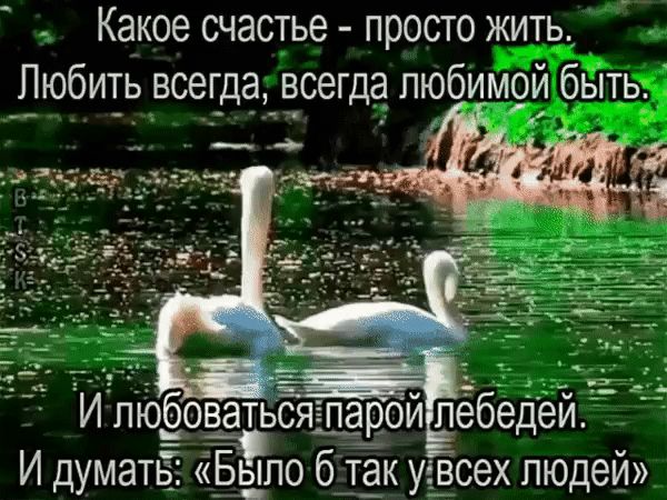 Какое счастье просто жить Любить всегда _Ёсегда любимой _бьіть