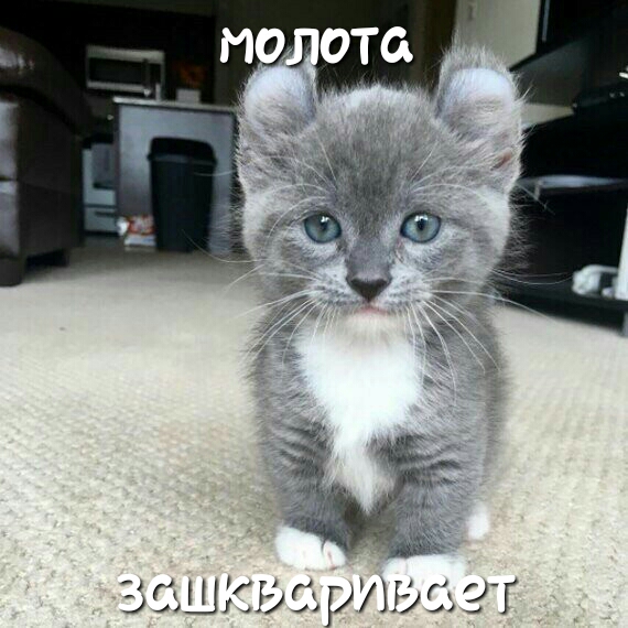 3 В С ЭТ ЗОШ 3 ЬРЛ