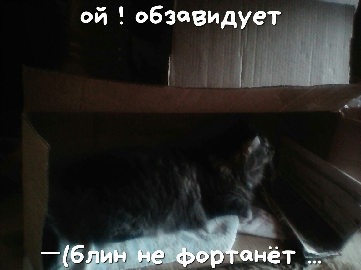 ОИ