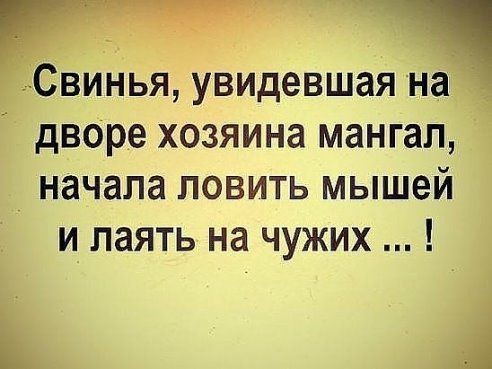 Свинья увидевшая на дворе хозяина мангал _ начала ловить мышей и_ паять на чужих А