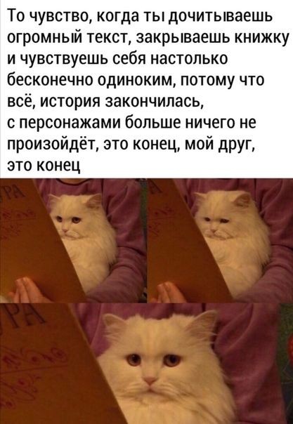 ТО ЧУВСТВО когда ТЫ дОЧИТЫВЭЕШЬ ОГРОМНЫЙ ТЕКСТ закрываешь КНИЖКУ И чувствуешь себя НаСТОПЬКО бесконечно одиноким ПОТОМУ ЧТО всё история закончилась с персонажами больше ничего не произойдёт это конец мой друг это конец _
