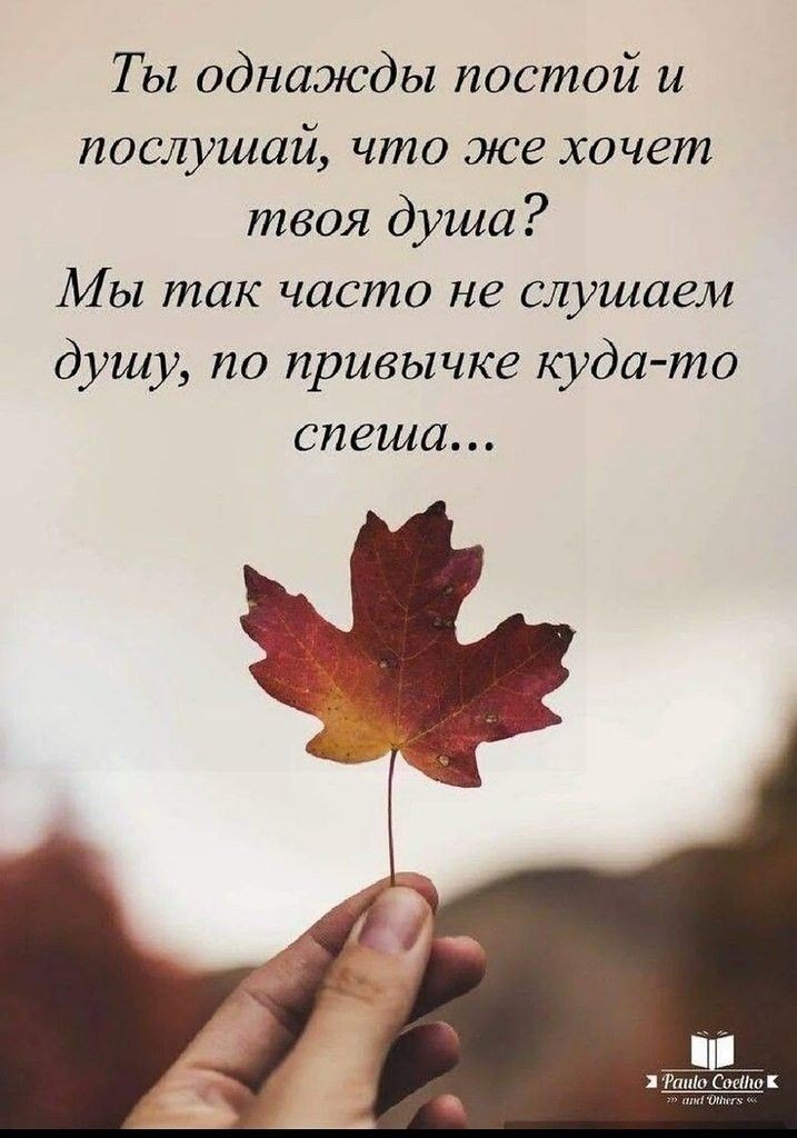 Т ы однажды постой и послушай что же хочет твоя душа Мы так часто не слушаем душу по привычке куда то спеша