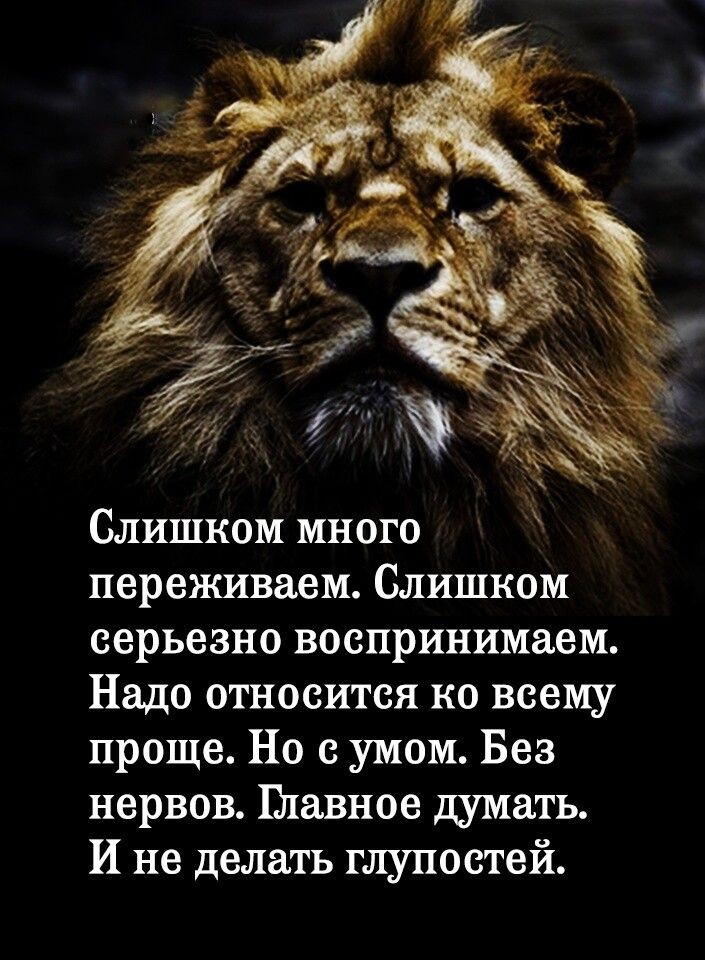 Слишком много переживаем Слишком серьезно воспринимаем Надо относится ко всему проще Но с умом Без нервов Плавное думать И не делать глупостей