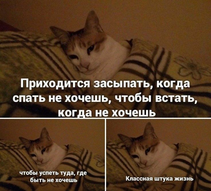 Приходится засыпать когда спать не хочешь чтобы встать КОГ а не хочешь чтобы успеть туда где быть не хочешь Классная штука жизнь