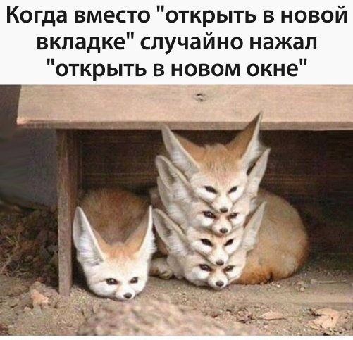 Чем отличается открыть в новой вкладке от открыть в новом окне