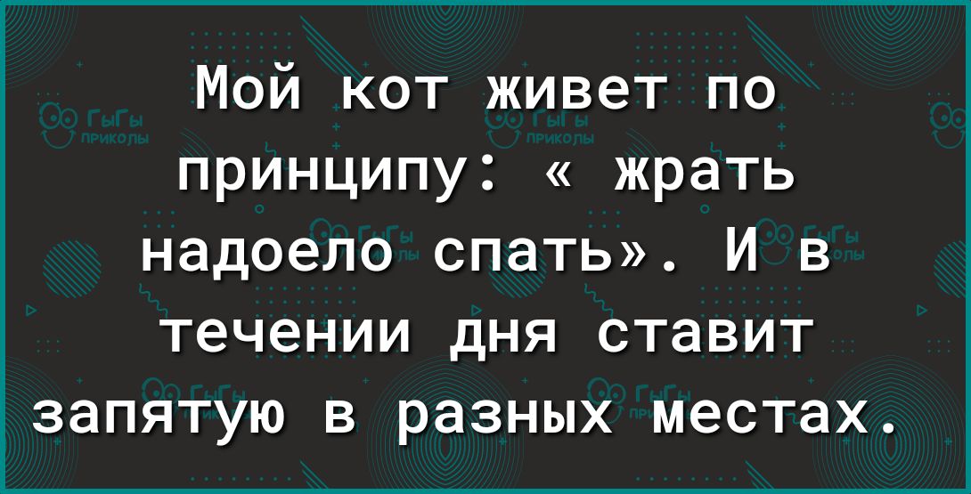Мой кот живет по принципу жрать надоело спать И в течении дня ставит запятую в разных местах