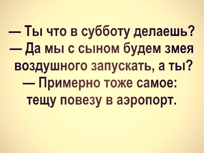 Ты что в субботу делаешь Да мыс сыном будем змея воздушного запускать а ты Примерно тоже самое тещу повезу в аэропорт