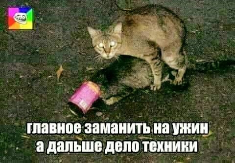 _ПШИИПБ ЗЕМЗИИГЭ ИЗ ШИИ а дальше депо ПИШИИИ