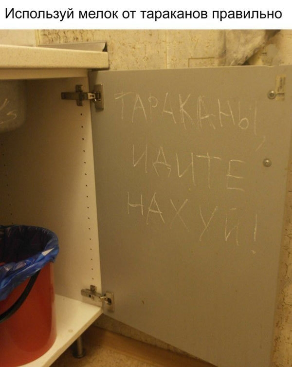 ИСПОЛЬЗУЙ МЭЛОК ОТ тараканов ПРЭВИЛЬНО