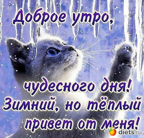 ст еняі сііес5